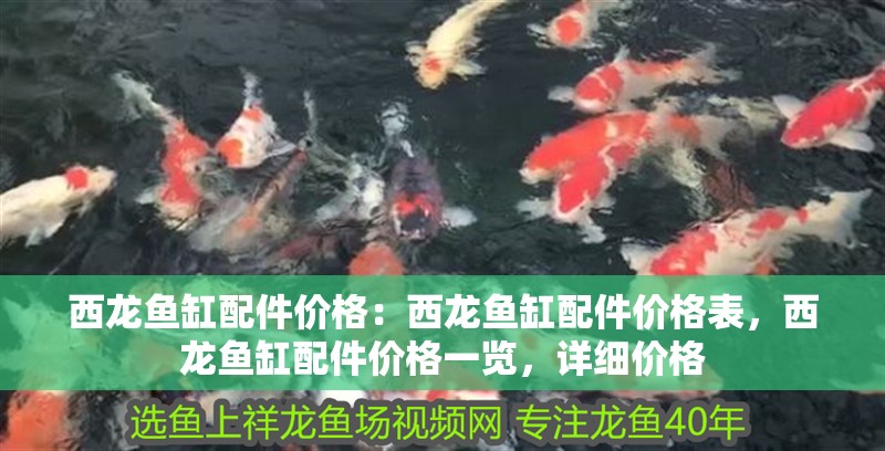 西龍魚缸配件價(jià)格：西龍魚缸配件價(jià)格表，西龍魚缸配件價(jià)格一覽，詳細(xì)價(jià)格