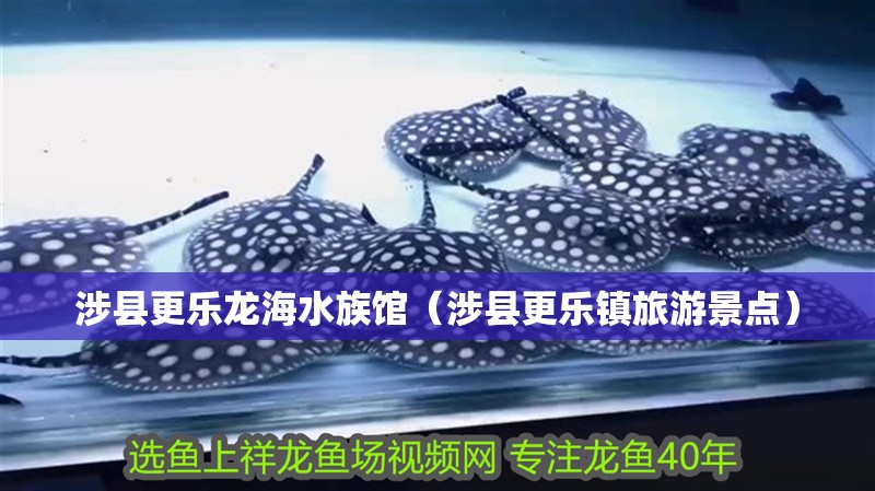 涉縣更樂龍海水族館（涉縣更樂鎮旅游景點）