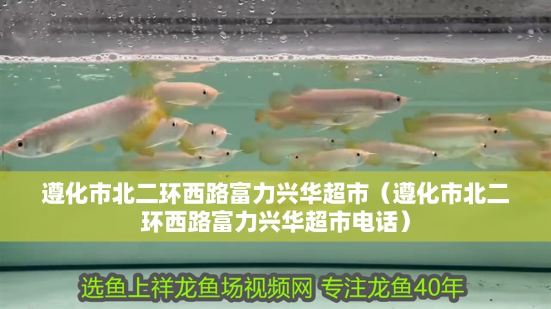 遵化市北二環(huán)西路富力興華超市（遵化市北二環(huán)西路富力興華超市電話(huà)）