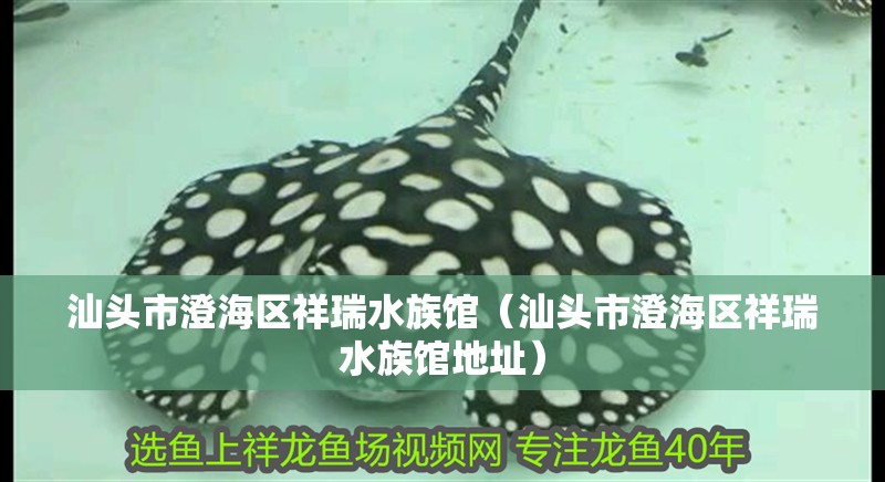 汕頭市澄海區祥瑞水族館（汕頭市澄海區祥瑞水族館地址）