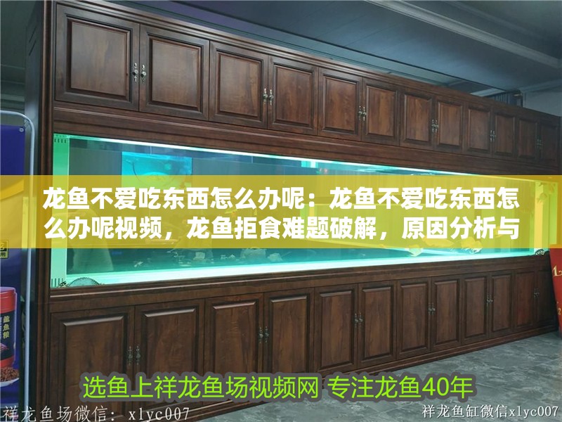 龍魚不愛吃東西怎么辦呢：龍魚不愛吃東西怎么辦呢視頻，龍魚拒食難題破解，原因分析與解決妙招