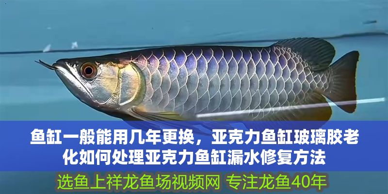魚缸一般能用幾年更換，亞克力魚缸玻璃膠老化如何處理亞克力魚缸漏水修復方法
