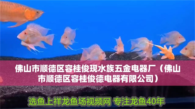 佛山市順德區容桂俊現水族五金電器廠（佛山市順德區容桂俊德電器有限公司）