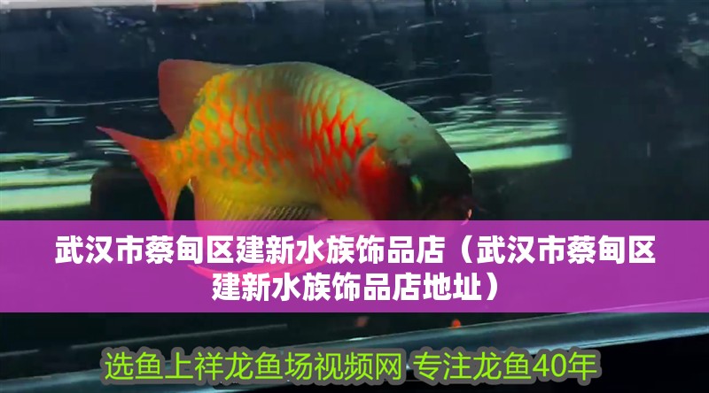 武漢市蔡甸區建新水族飾品店（武漢市蔡甸區建新水族飾品店地址）