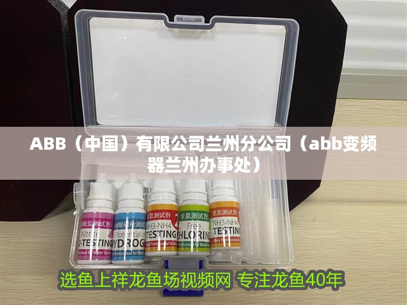 ABB（中國）有限公司蘭州分公司（abb變頻器蘭州辦事處）