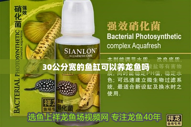 30公分寬的魚缸可以養(yǎng)龍魚嗎