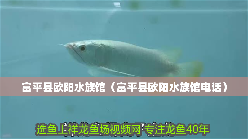 富平縣歐陽水族館（富平縣歐陽水族館電話）