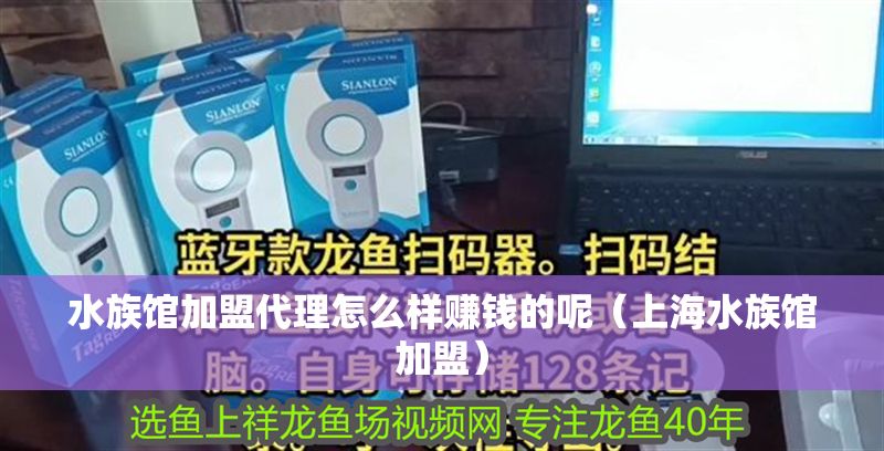 水族館加盟代理怎么樣賺錢的呢（上海水族館加盟）