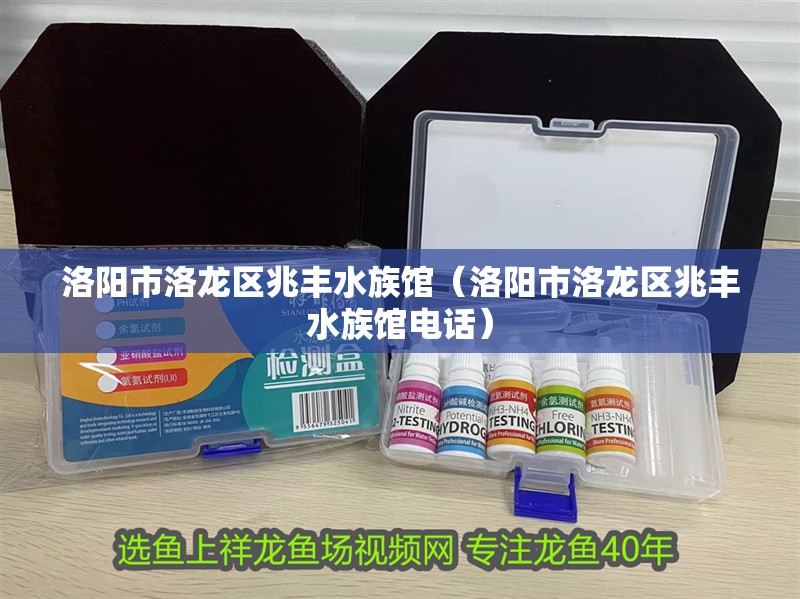 洛陽市洛龍區(qū)兆豐水族館（洛陽市洛龍區(qū)兆豐水族館電話） 洛陽市洛龍區(qū)兆豐水族館（洛陽市洛龍區(qū)兆豐水族館電話） 全國(guó)水族館企業(yè)名錄 第2張