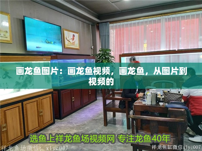畫龍魚圖片：畫龍魚視頻，畫龍魚，從圖片到視頻的
