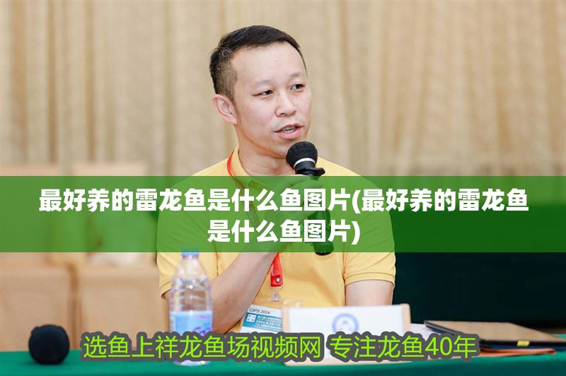 最好養(yǎng)的雷龍魚是什么魚圖片(最好養(yǎng)的雷龍魚是什么魚圖片) 最好養(yǎng)的雷龍魚是什么魚圖片(最好養(yǎng)的雷龍魚是什么魚圖片) 銀龍魚百科 第1張