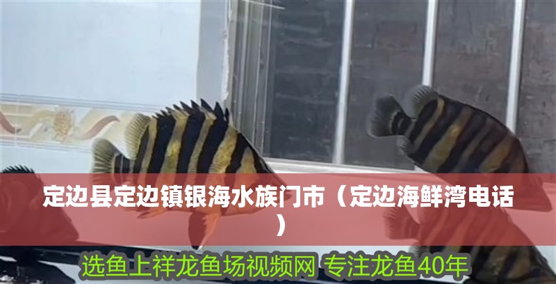 定邊縣定邊鎮(zhèn)銀海水族門市(定邊海鮮灣電話) 全國水族館企業(yè)名錄 第2張 定邊縣定邊鎮(zhèn)銀海水族門市(定邊海鮮灣電話) 定邊縣定邊鎮(zhèn)銀海水族門市(定邊海鮮灣電話) 全國水族館企業(yè)名錄 第2張