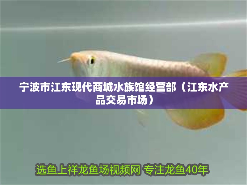 寧波市江東現代商城水族館經營部（江東水產品交易市場）