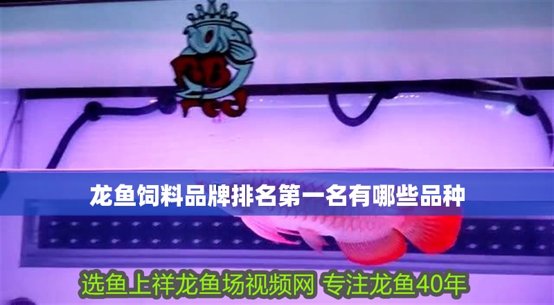 龍魚(yú)飼料品牌排名第一名有哪些品種