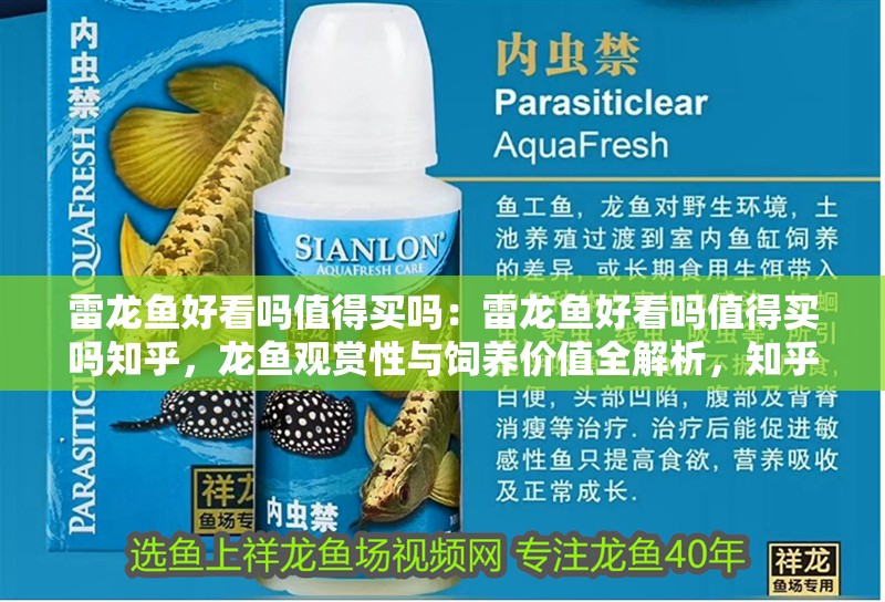 雷龍魚好看嗎值得買嗎：雷龍魚好看嗎值得買嗎知乎，龍魚觀賞性與飼養(yǎng)價值全解析，知乎熱議雷龍魚好看嗎值得買