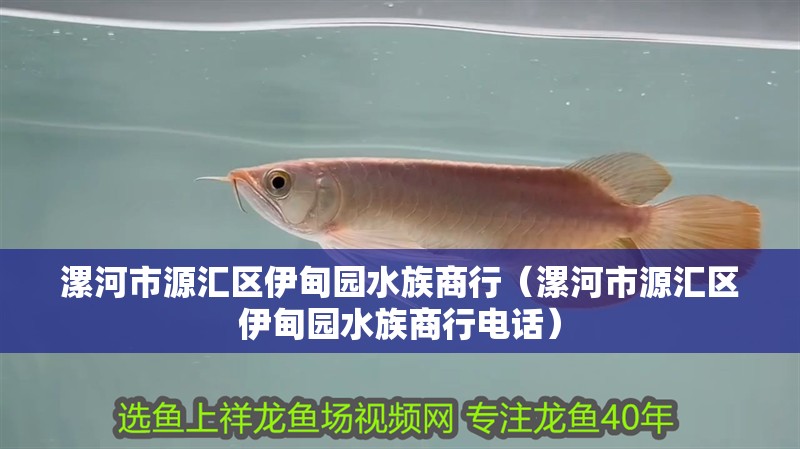 漯河市源匯區伊甸園水族商行（漯河市源匯區伊甸園水族商行電話）