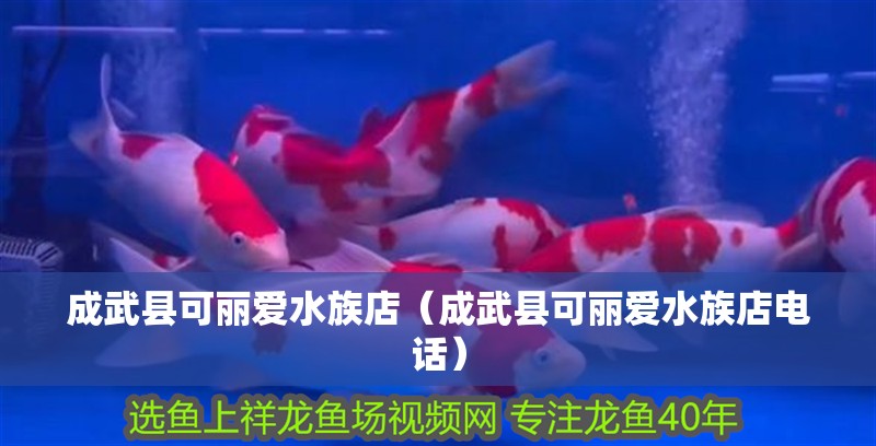 成武縣可麗愛水族店（成武縣可麗愛水族店電話）
