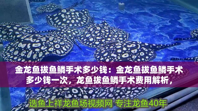金龍魚拔魚鱗手術(shù)多少錢：金龍魚拔魚鱗手術(shù)多少錢一次，龍魚拔魚鱗手術(shù)費(fèi)用解析，