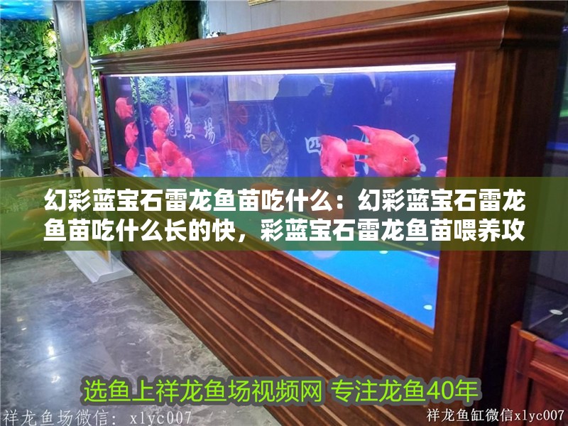 幻彩藍(lán)寶石雷龍魚苗吃什么：幻彩藍(lán)寶石雷龍魚苗吃什么長的快，彩藍(lán)寶石雷龍魚苗喂養(yǎng)攻略，促生長食物全解析