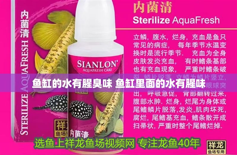 魚缸的水有腥臭味 魚缸里面的水有腥味