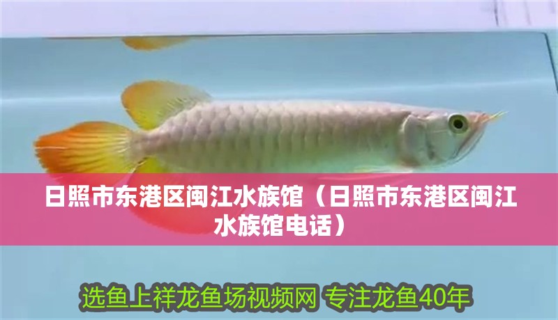 日照市東港區(qū)閩江水族館（日照市東港區(qū)閩江水族館電話）