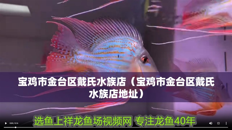 寶雞市金臺區(qū)戴氏水族店（寶雞市金臺區(qū)戴氏水族店地址）