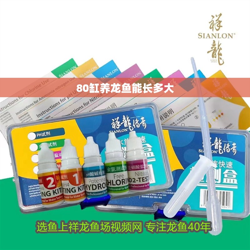 80缸養(yǎng)龍魚能長多大