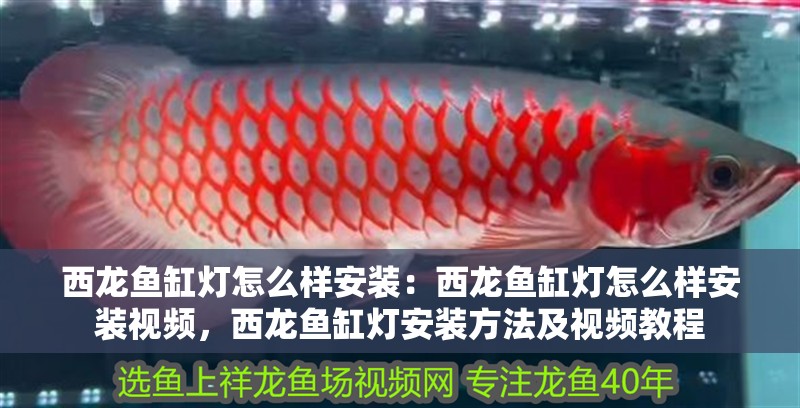 西龍魚缸燈怎么樣安裝：西龍魚缸燈怎么樣安裝視頻，西龍魚缸燈安裝方法及視頻教程
