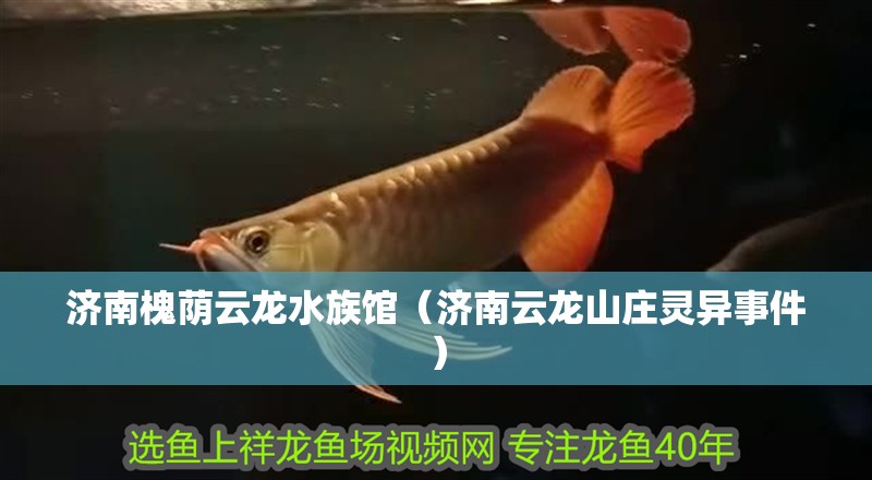 濟南槐蔭云龍水族館（濟南云龍山莊靈異事件）
