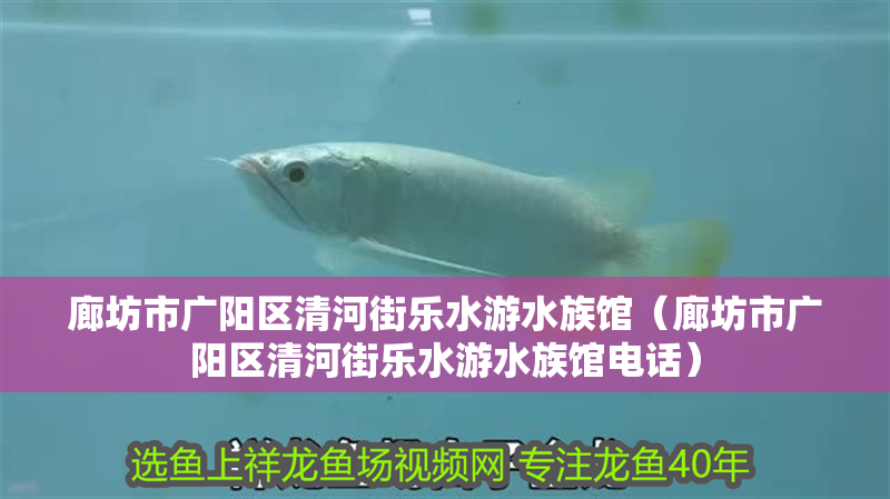 廊坊市廣陽區清河街樂水游水族館（廊坊市廣陽區清河街樂水游水族館電話）