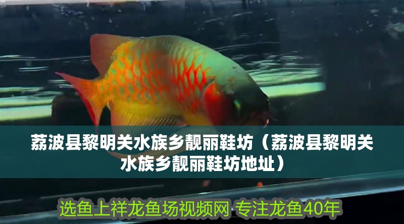 荔波縣黎明關水族鄉靚麗鞋坊（荔波縣黎明關水族鄉靚麗鞋坊地址）