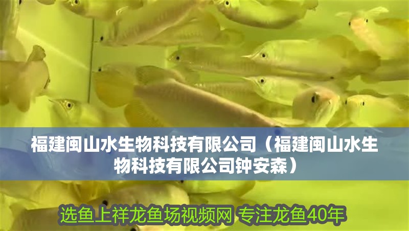 福建閩山水生物科技有限公司（福建閩山水生物科技有限公司鐘安森）