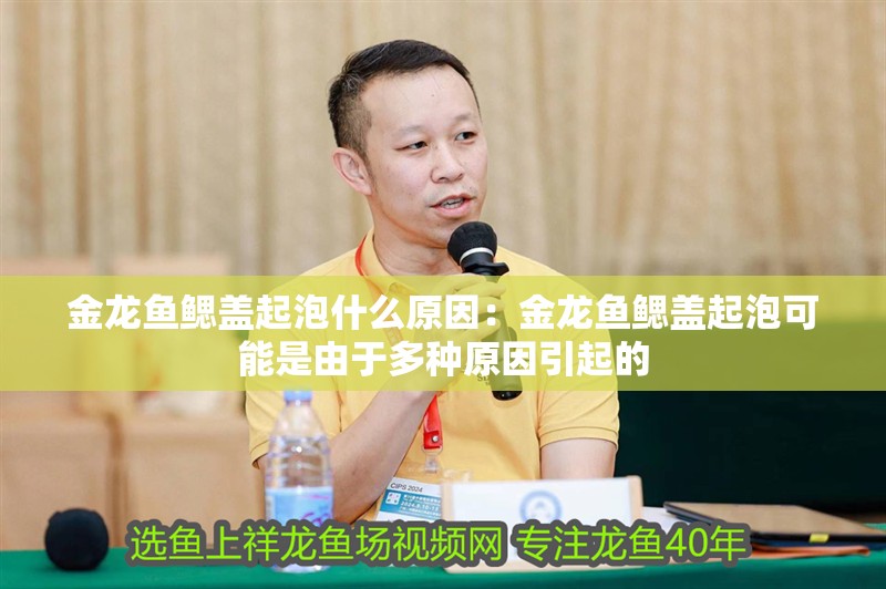 金龍魚鰓蓋起泡什么原因：金龍魚鰓蓋起泡可能是由于多種原因引起的