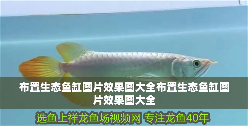 布置生態魚缸圖片效果圖大全布置生態魚缸圖片效果圖大全
