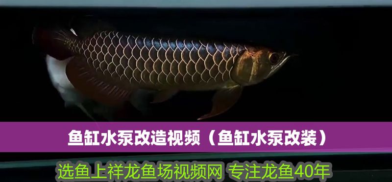 魚缸水泵改造視頻（魚缸水泵改裝）