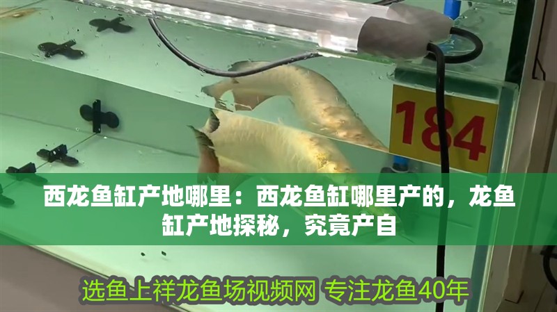 西龍魚缸產地哪里：西龍魚缸哪里產的，龍魚缸產地探秘，究竟產自