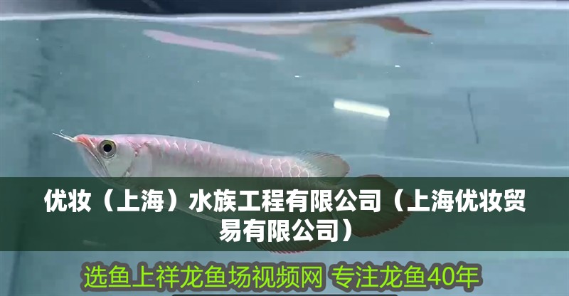 優(yōu)妝（上海）水族工程有限公司（上海優(yōu)妝貿(mào)易有限公司）