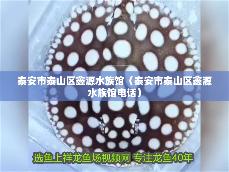 泰安市泰山區(qū)鑫源水族館（泰安市泰山區(qū)鑫源水族館電話）