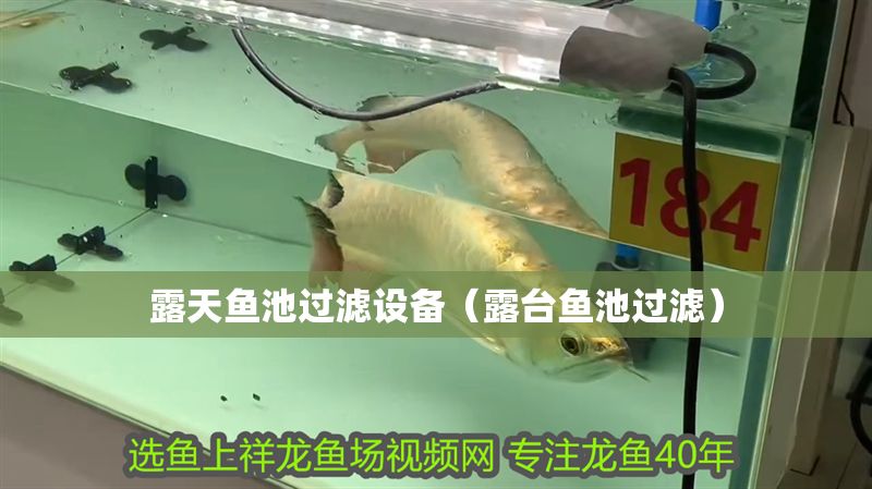 露天魚池過濾設備（露臺魚池過濾）