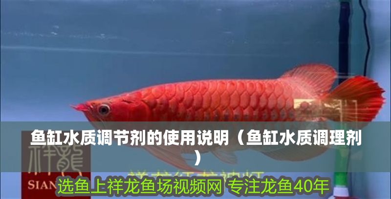 魚缸水質(zhì)調(diào)節(jié)劑的使用說明（魚缸水質(zhì)調(diào)理劑）