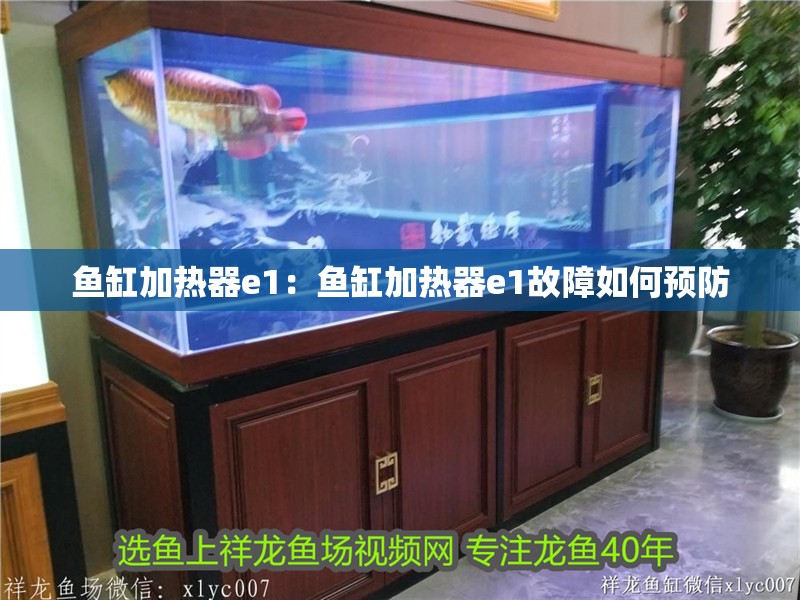 魚缸加熱器e1：魚缸加熱器e1故障如何預防