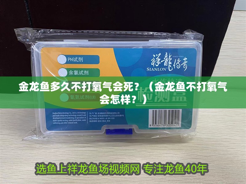 金龍魚多久不打氧氣會死？（金龍魚不打氧氣會怎樣？）