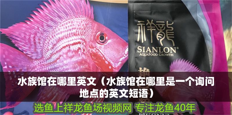 水族館在哪里英文（水族館在哪里是一個詢問地點的英文短語） 水族館在哪里英文（水族館在哪里是一個詢問地點的英文短語） 水族館百科（水族館加盟） 第1張