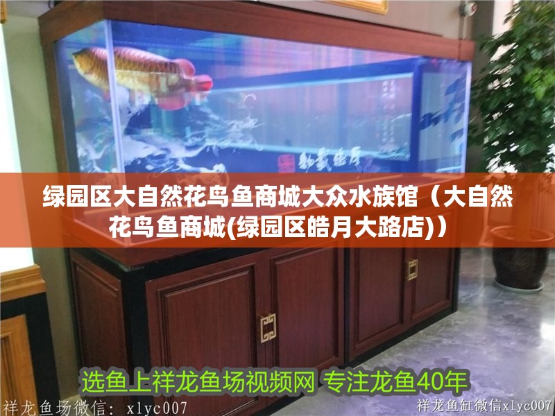 綠園區大自然花鳥魚商城大眾水族館（大自然花鳥魚商城(綠園區皓月大路店)）