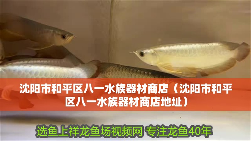 沈陽市和平區(qū)八一水族器材商店（沈陽市和平區(qū)八一水族器材商店地址） 沈陽市和平區(qū)八一水族器材商店（沈陽市和平區(qū)八一水族器材商店地址） 全國水族館企業(yè)名錄 第2張