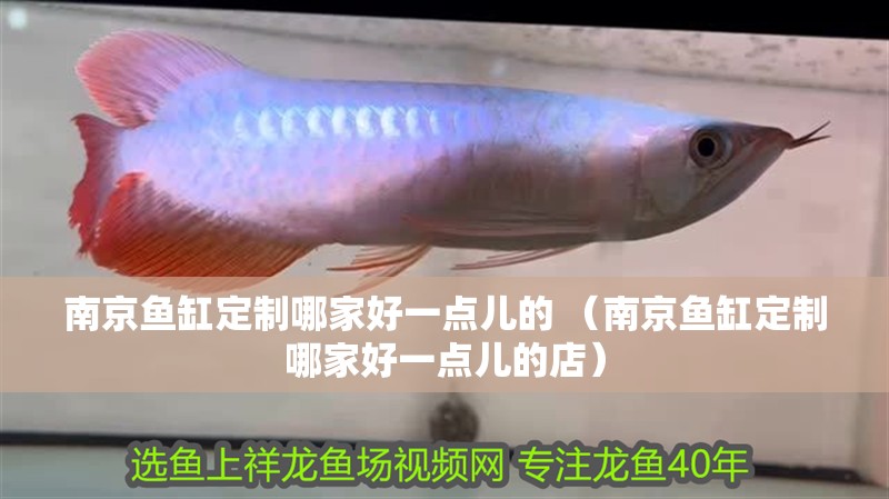 魚缸用增氧泵價(jià)格是多少:魚缸增氧機(jī)-xtrac增氧機(jī)-xtrac增氧機(jī) 南京魚缸定制哪家好一點(diǎn)兒的 (南京魚缸定制哪家好一點(diǎn)兒的店) 紅龍魚百科 南京魚缸定制哪家好一點(diǎn)兒的 (南京魚缸定制哪家好一點(diǎn)兒的店) 南京魚缸定制哪家好一點(diǎn)兒的 (南京魚缸定制哪家好一點(diǎn)兒的店) 紅龍魚百科
