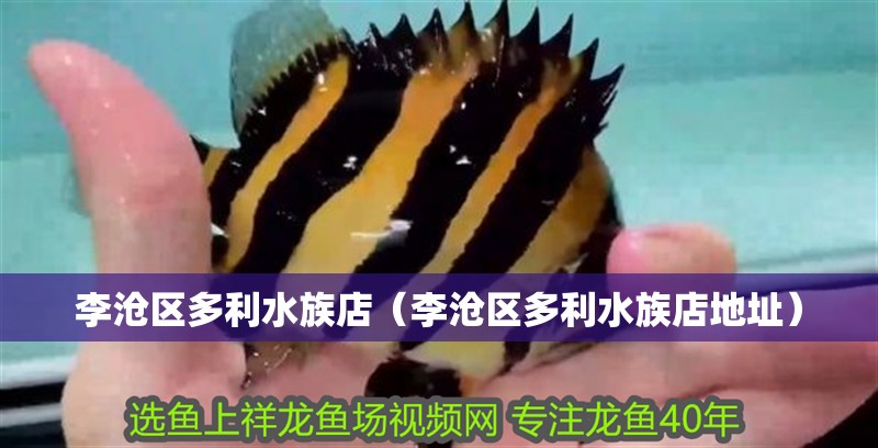 李滄區(qū)多利水族店（李滄區(qū)多利水族店地址）
