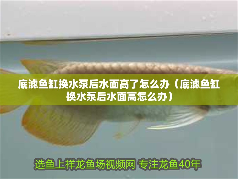 底濾魚(yú)缸換水泵后水面高了怎么辦（底濾魚(yú)缸換水泵后水面高怎么辦）