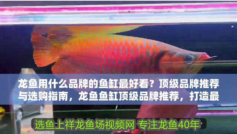 龍魚用什么品牌的魚缸最好看？頂級(jí)品牌推薦與選購指南，龍魚魚缸頂級(jí)品牌推薦，打造最美水族景觀