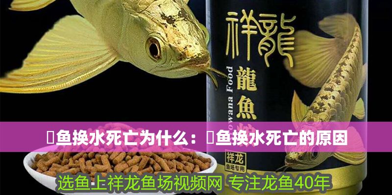 魟魚換水死亡為什么：魟魚換水死亡的原因
